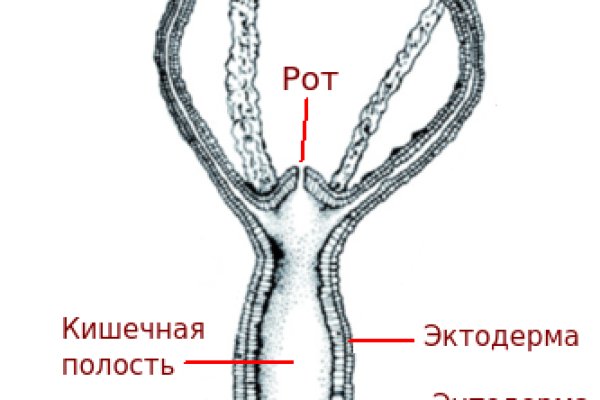 Кракен наркологический