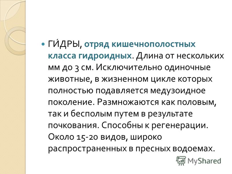 Кракен найдется все